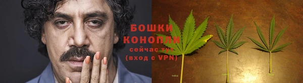 дмт Зеленокумск