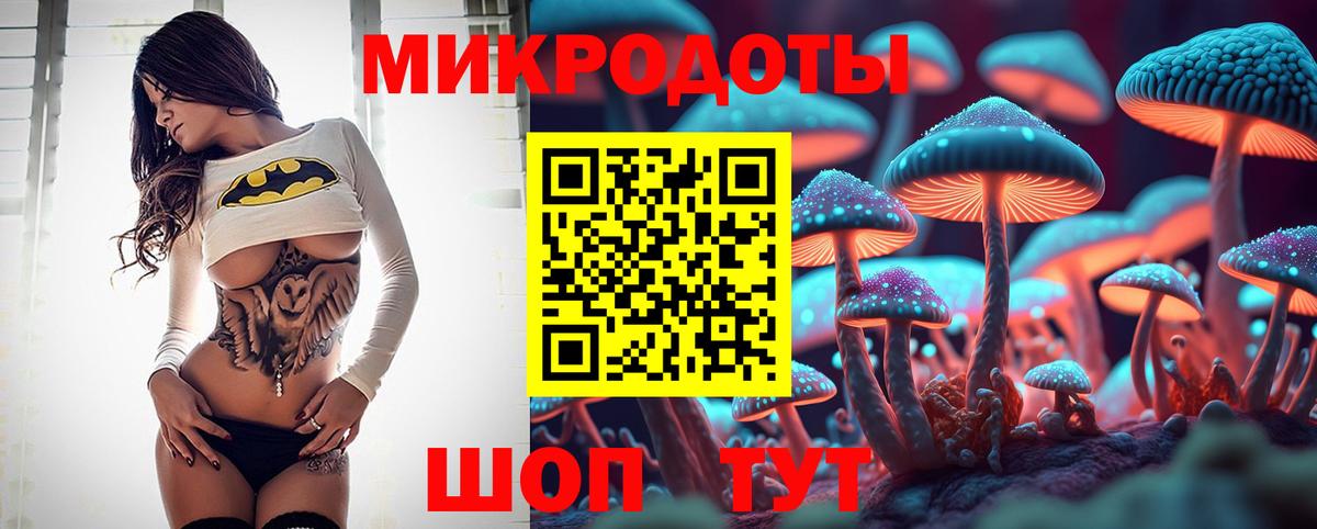 продажа наркотиков  Псилоцибиновые грибы GOLDEN TEACHER  Псилоцибиновые грибы MAGIC MUSHROOMS  Вход с VPN  Старая Русса 